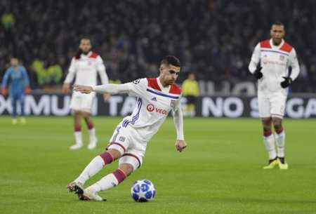 为国内羽毛 为国内羽毛